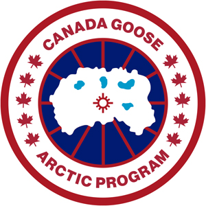 Canada goose